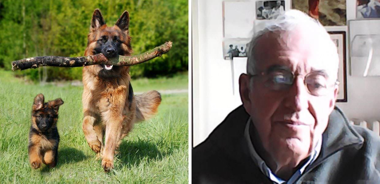 Animali, ecco come farsi capire dal proprio cane