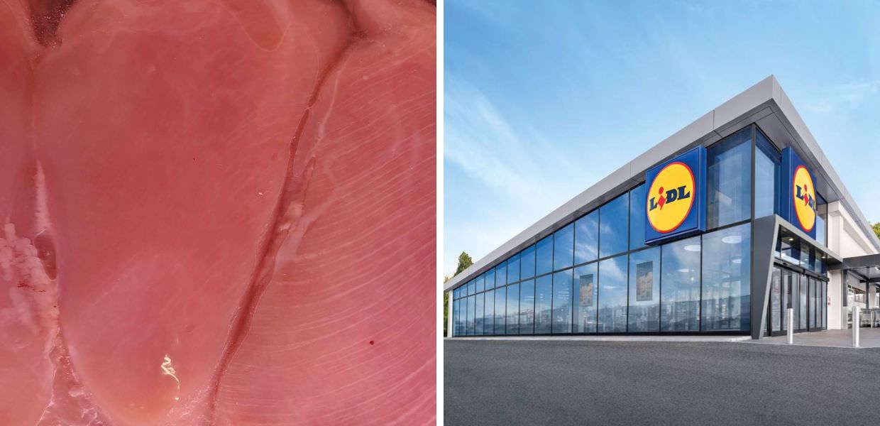 White striping, Lidl contro Essere Animali: "Accuse false"