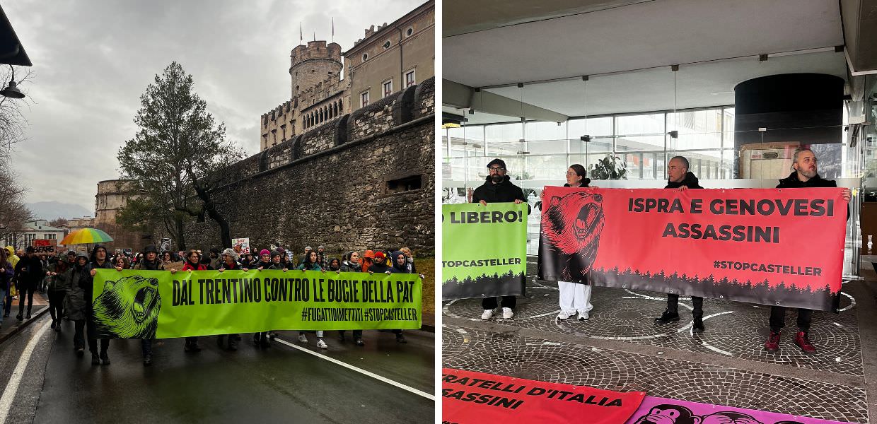 orsi manifestazione trento