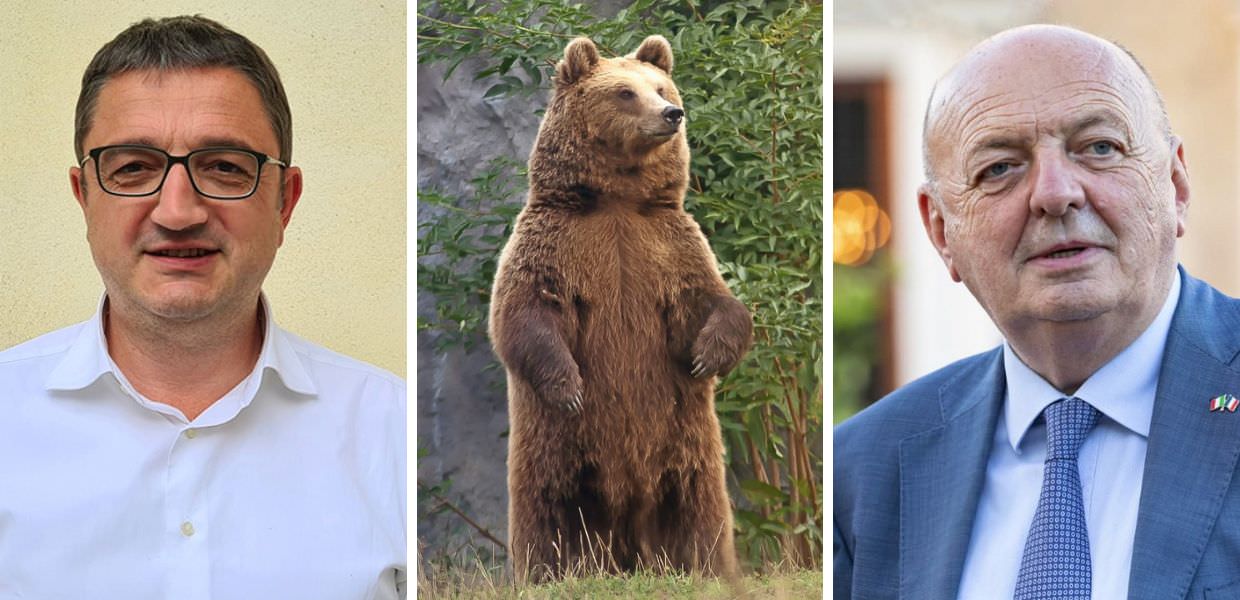 Orso M90 ucciso, tutti contro Fugatti. Pichetto: "Soppressione non è l'unica soluzione"