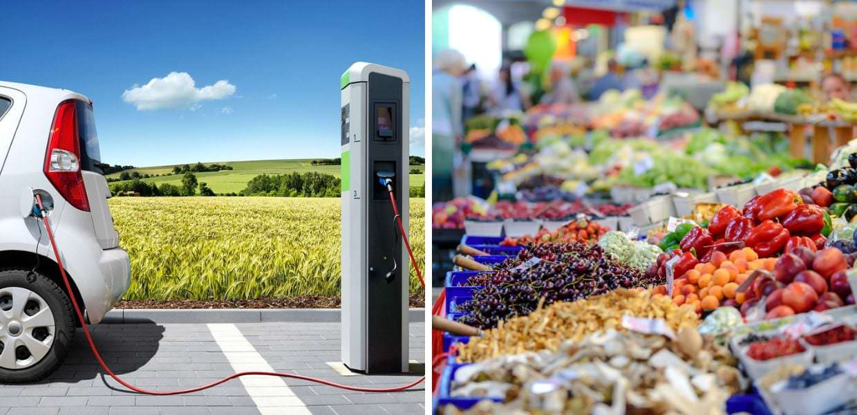 stellantis e biologico a rapporto mondo