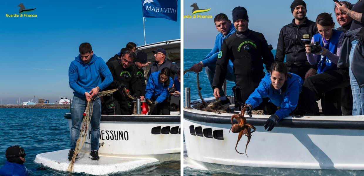 rete fantasma marevivo guardia di finanza