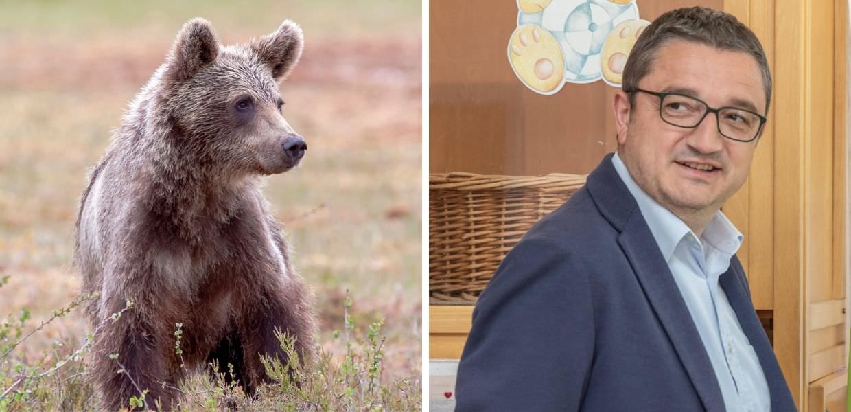 Trentino, primo ok alla legge "ammazza-orsi"