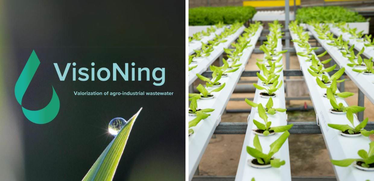 visioning startup sull'agritech