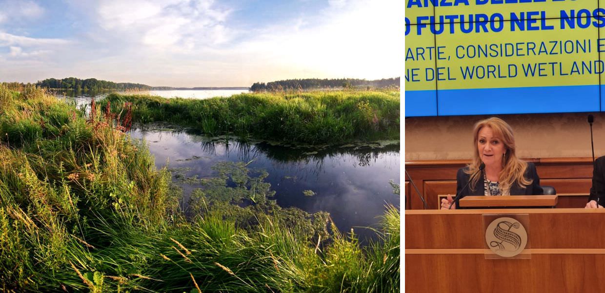 zone umide elena sironi