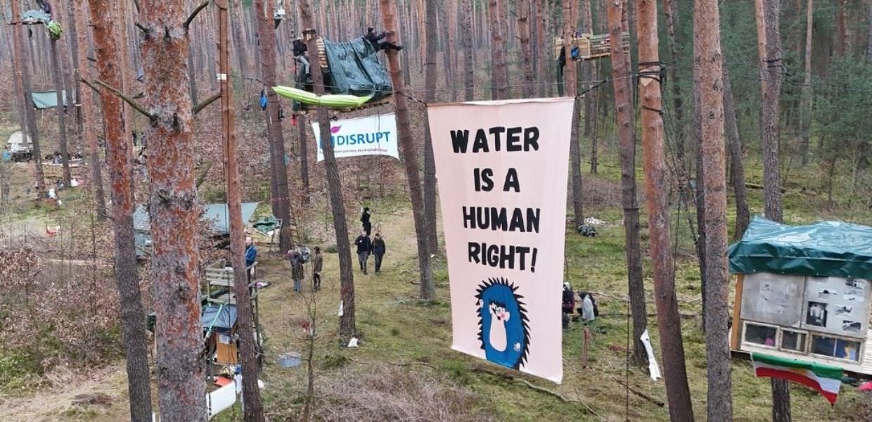 Germania, le case sugli alberi degli attivisti contro l'espansione di Tesla