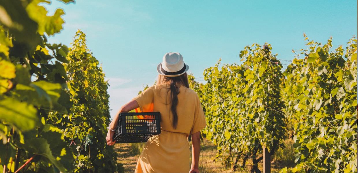 Umbria, Donne Coldiretti, un’azienda agricola su tre è al femminile