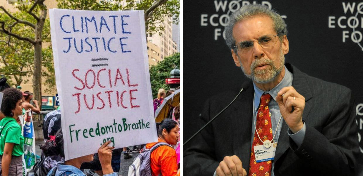 goleman intervista crescimitu