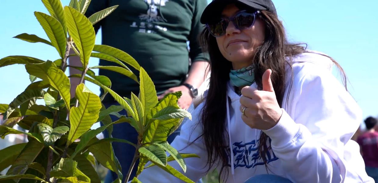 Padova, la cantante Elisa Toffoli pianta alberi. Il video