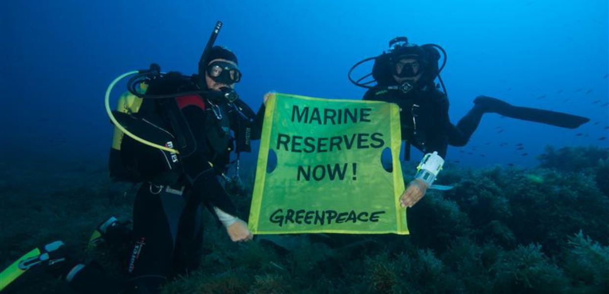 Trattato mondiale sugli oceani, Greenpeace: "L'Italia lo ratifichi"