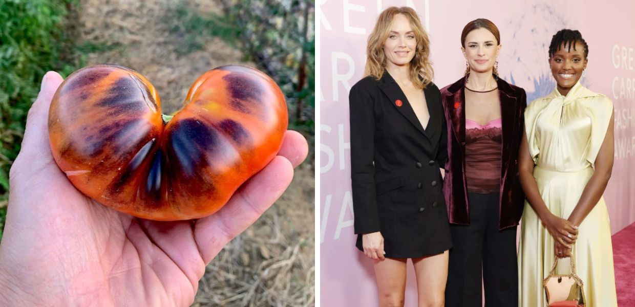 jeans biodegradabili Green Carpet