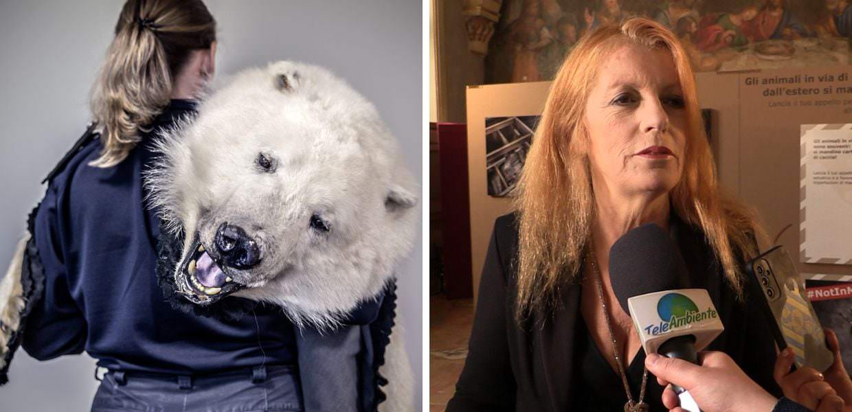 Animali, Brambilla: "Stop ai trofei di caccia in Italia"