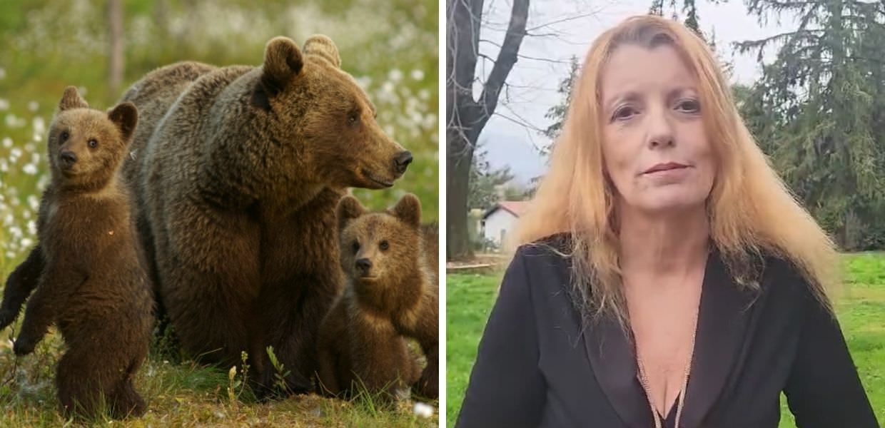 Legge ammazza-orsi, Brambilla: "Intervenga il governo"