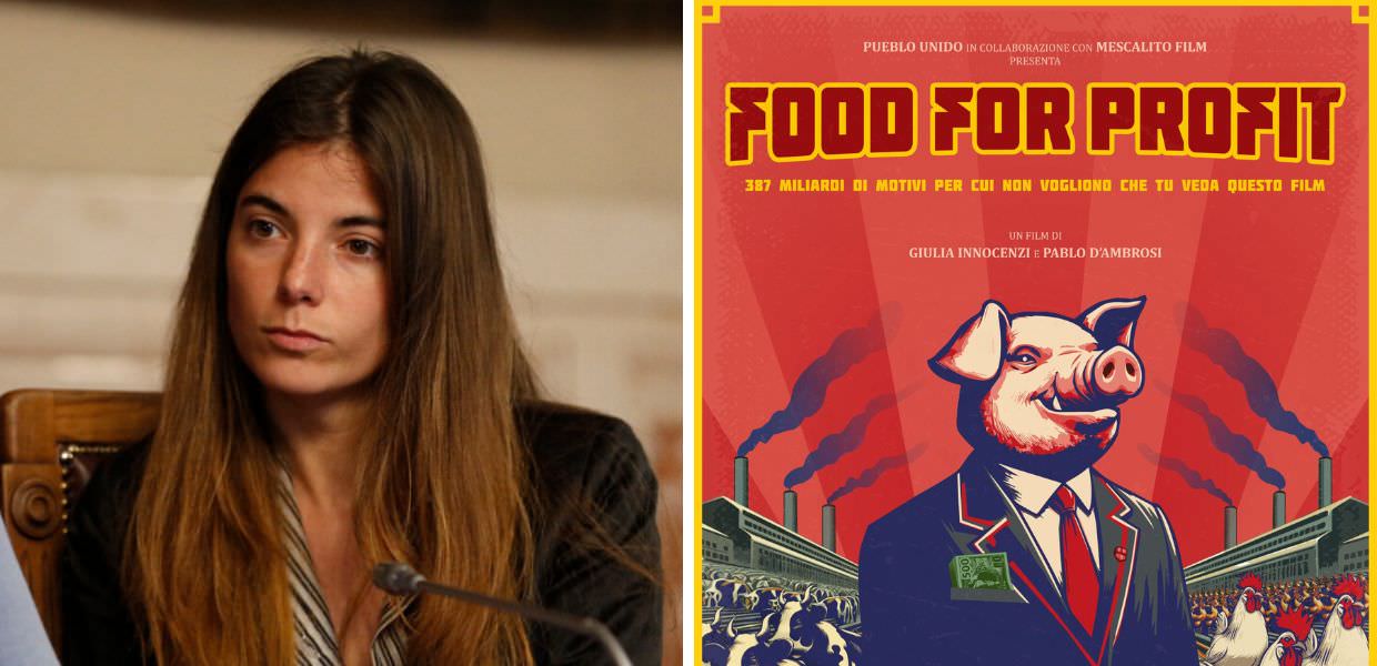 allevamenti intensivi