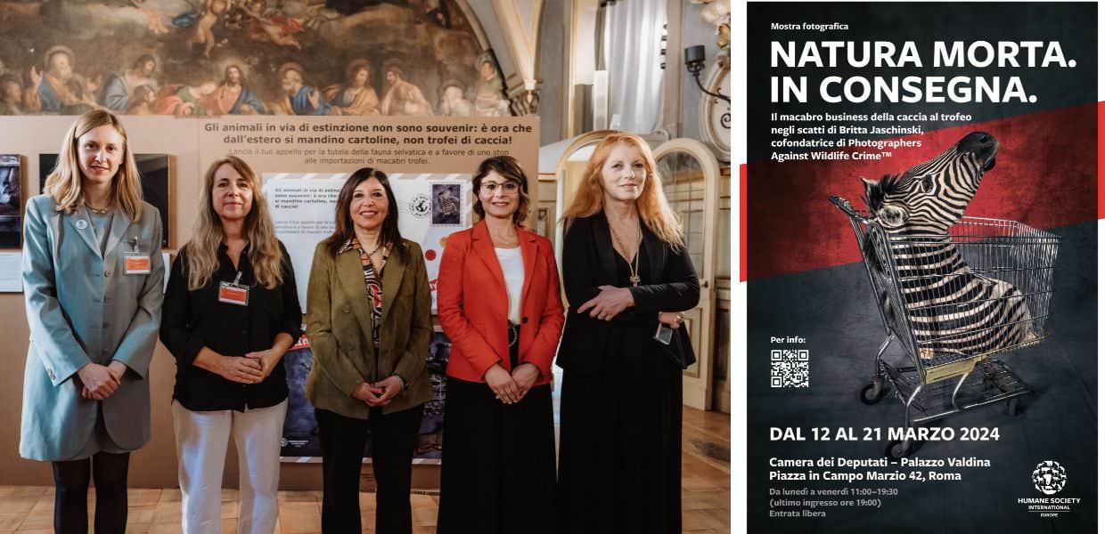 "Natura morta. In consegna", a Roma la mostra sulla caccia al trofeo