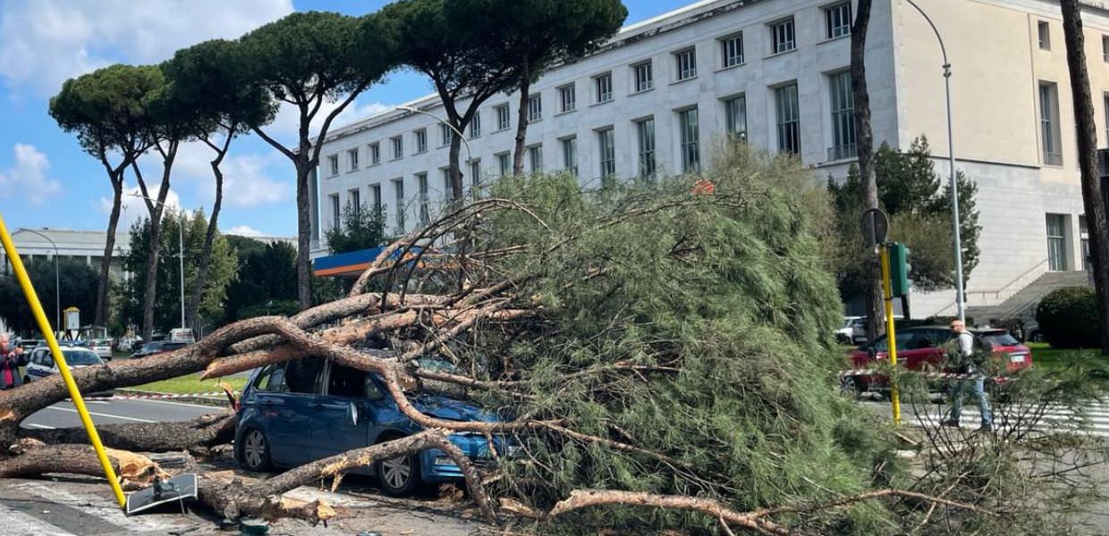 Roma, pino cade su due auto in Via Cristoforo Colombo: le foto