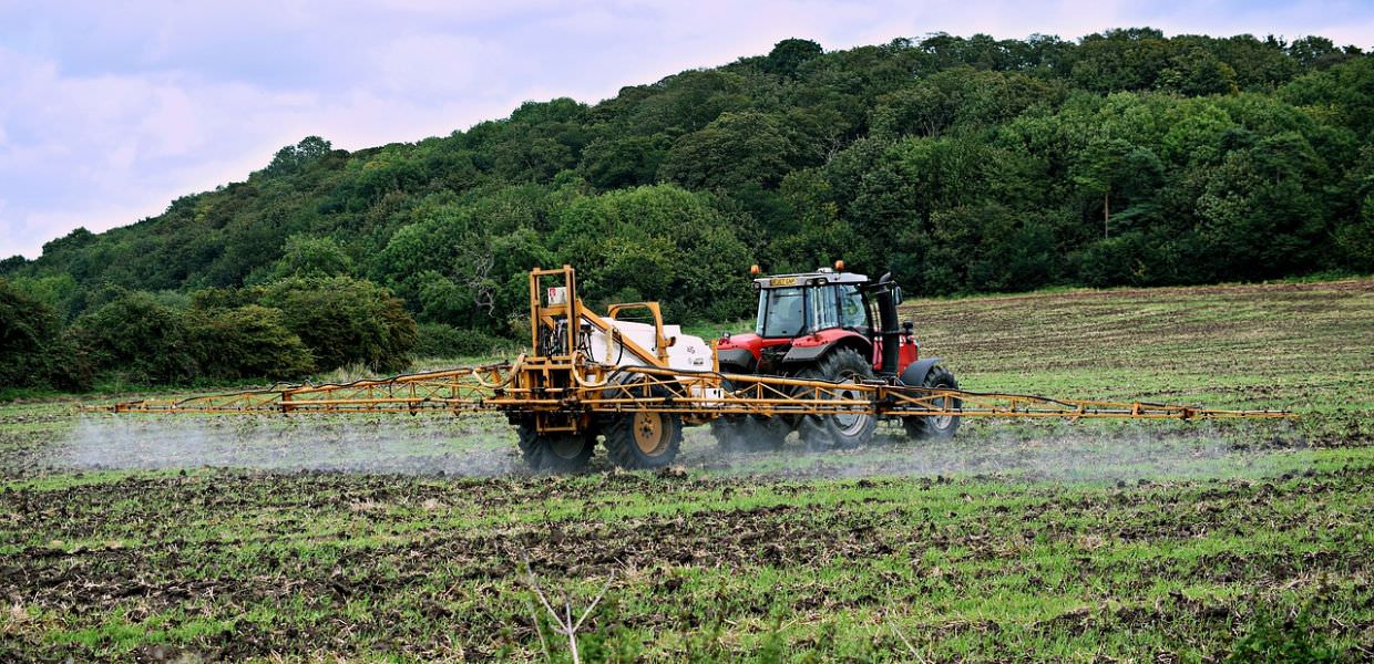 Glifosato, dopo 8 anni pubblicato un rapporto sull'erbicida e la genotossicità