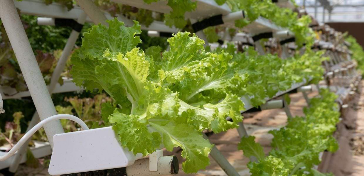 Il nuovo volto dell'agricoltura