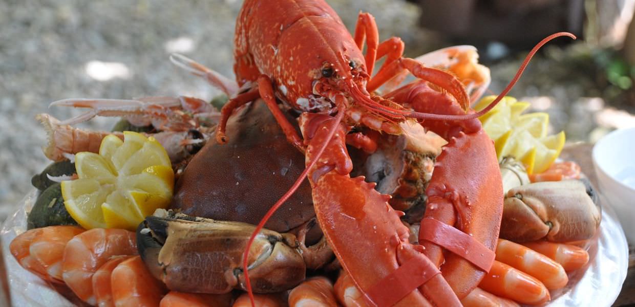 PFAS in pesce e frutti di mare, i ricercatori Servono linee guida più specifiche