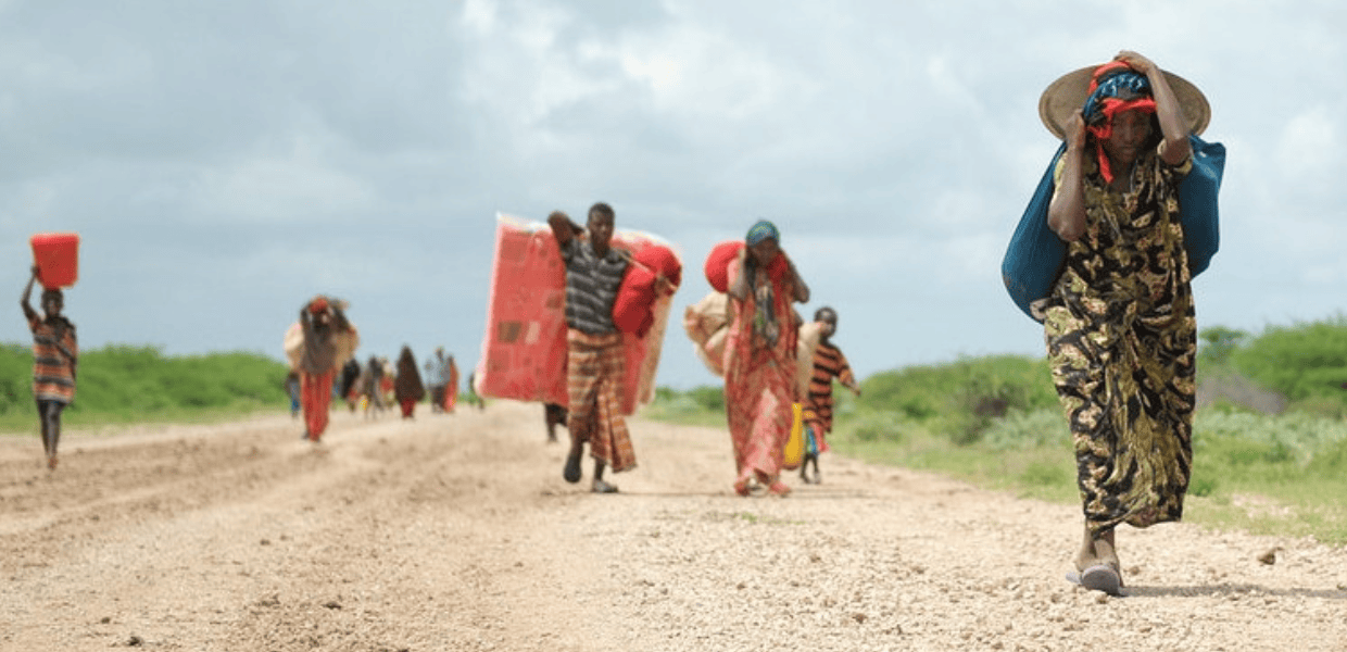 Siccità, perché lo stato d'emergenza in Africa meridionale interessa anche noi