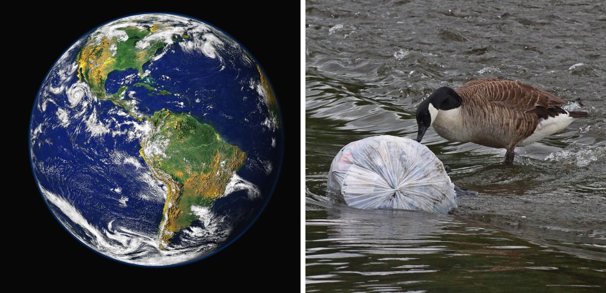 Earth Day 2024, gli ambientalisti: "Stop alla plastica per salvare la Terra"