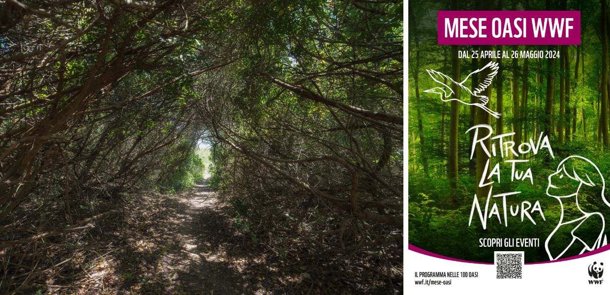 Tornano le Giornate delle Oasi del WWF. Ecco perché partecipare