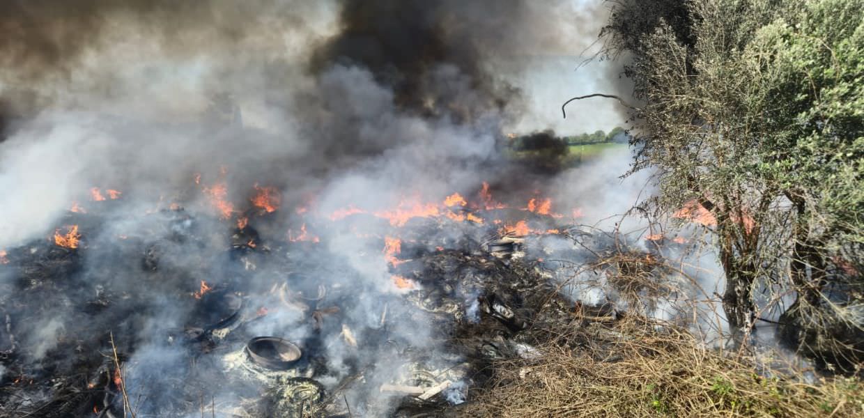 incendio ardea dati arpa lazio diossine