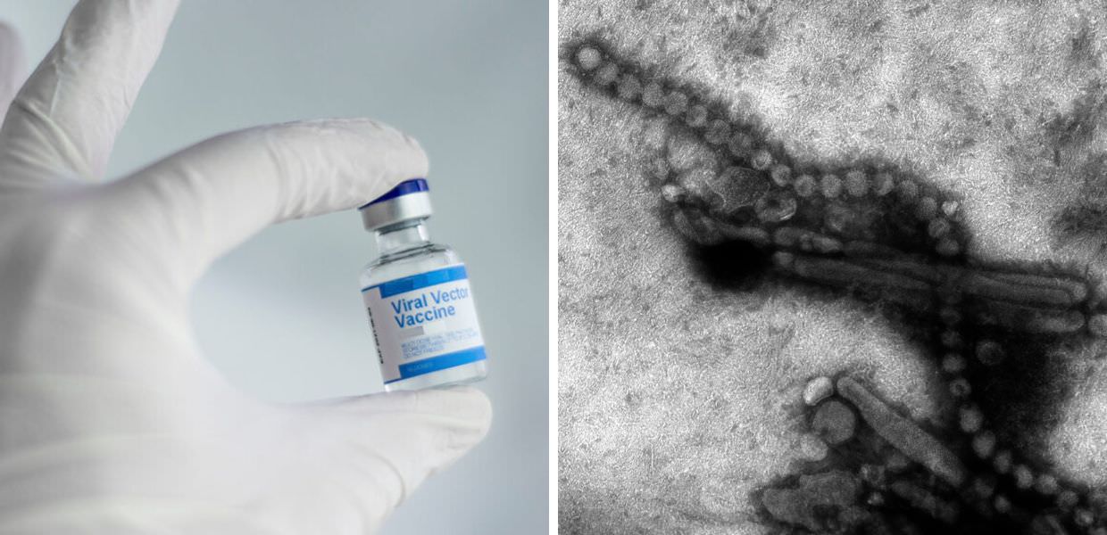 Cresce l'allarme influenza aviaria. Verso una nuova pandemia?