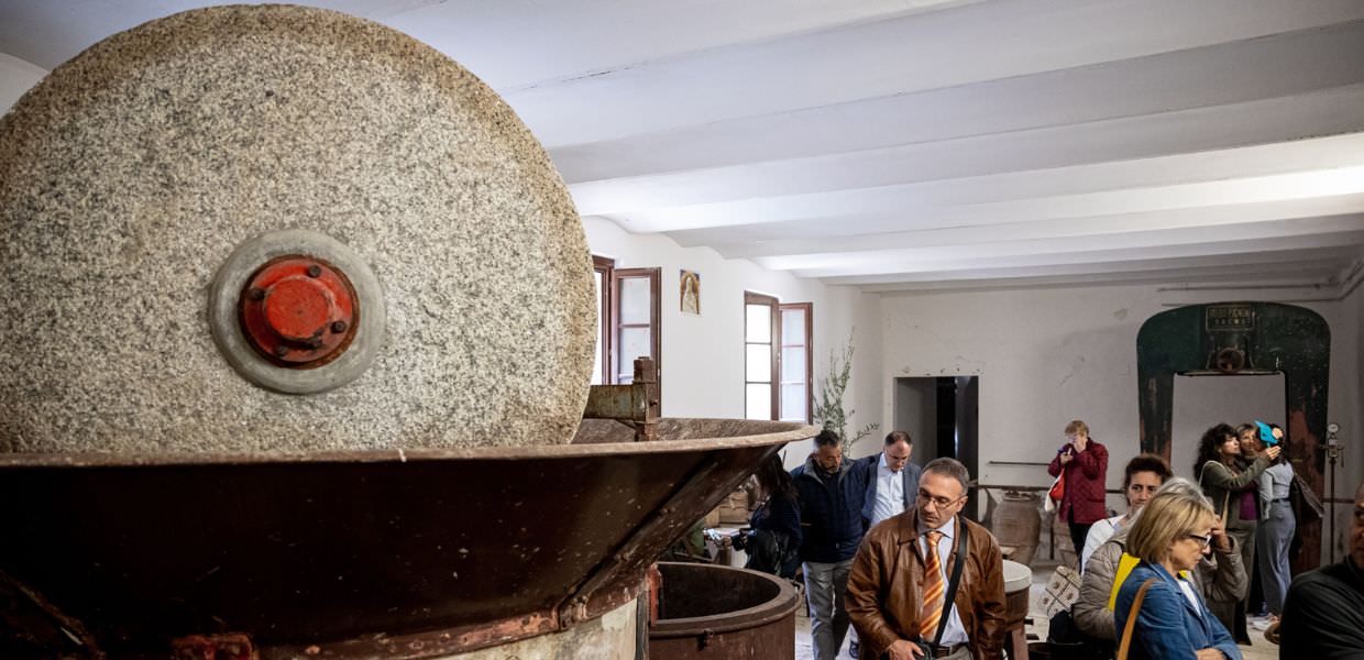 Deruta (Pg), alla scoperta di due eccellenze umbre la nocciola Tonda Francescana®️ e l’ olio e.v.o. Dop, foto evento