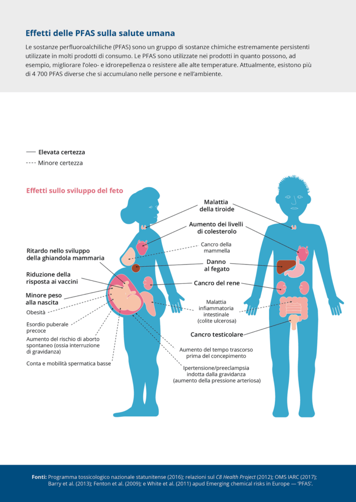 Effetti PFAS salute umana