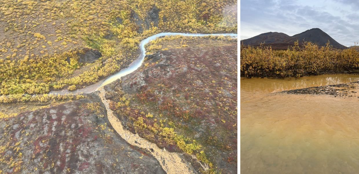I fiumi incontaminati dell'Alaska stanno diventando arancioni, ecco perché