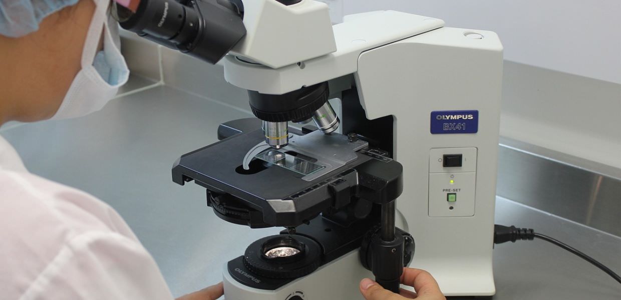 Microplastiche, l'allarme degli scienziati Potrebbero incidere sull'aumento dei tumori nei giovani