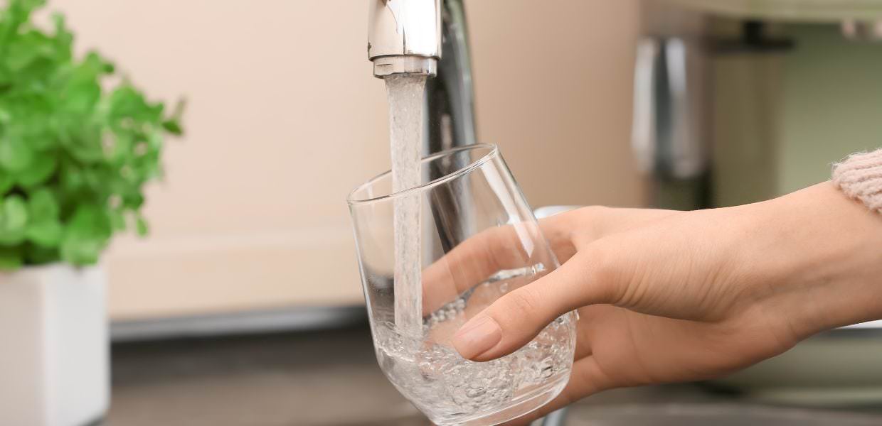 PFAS, l'avvertimento (ignorato) dell'ISS sulla pericolosità già nel 2019. Greenpeace Fatto gravissimo