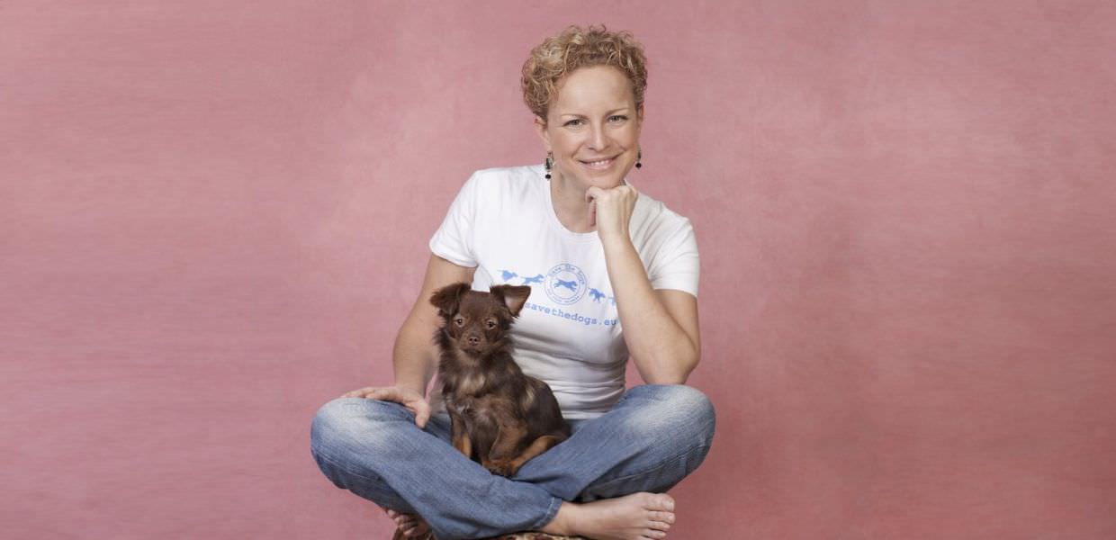 Salvo i cani randagi della Romania, dove una volta accalappiati vengono uccisi