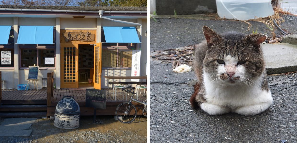 isola dei gatti giappone