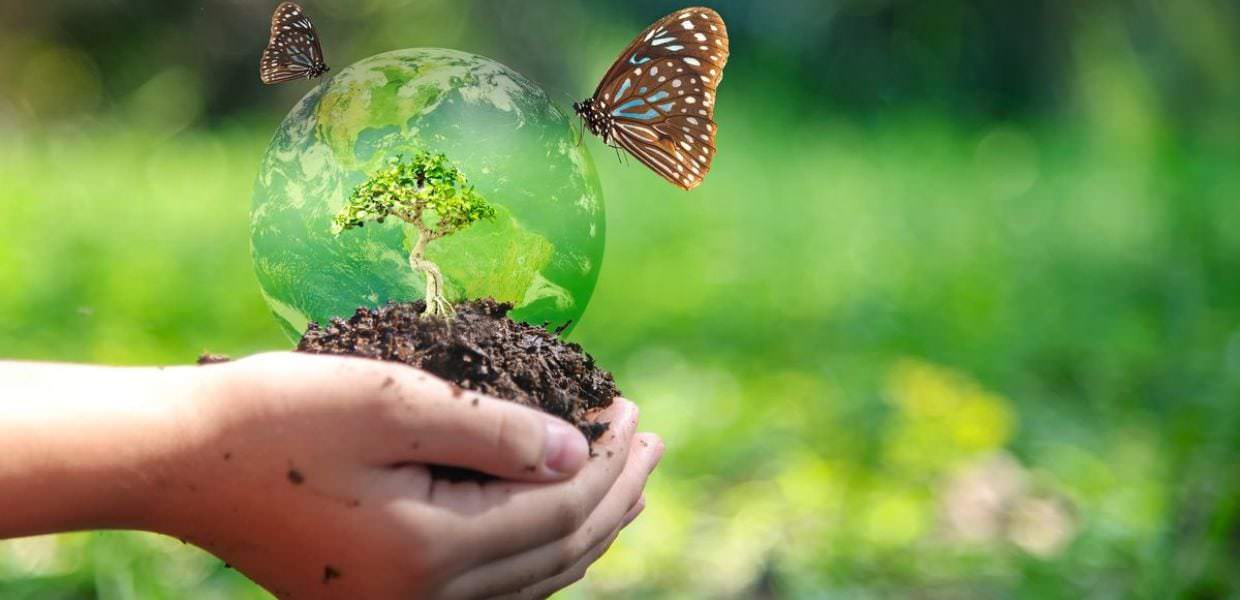 giornata mondiale biodiversità