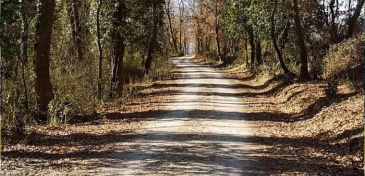 Umbria, inaugurati i 118 chilometri del cammino della Pietra Bianca