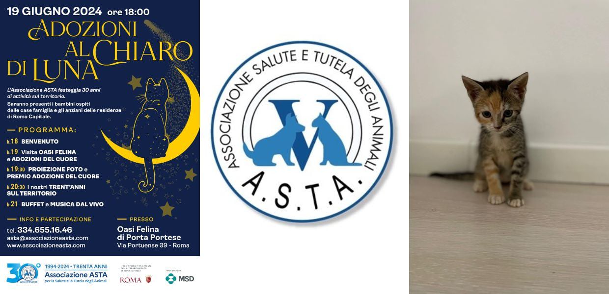 adozioni al chiaro di luna asta roma