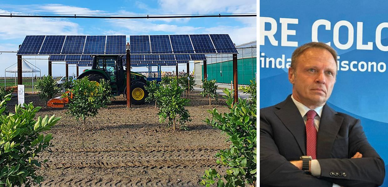 agrivoltaico francesco lollobrigida