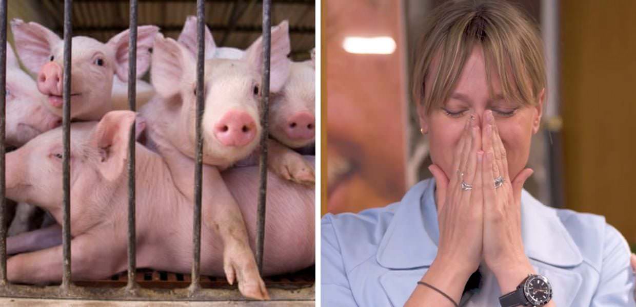 Allevamenti intensivi, Federica Pellegrini in lacrime per gli animali: il video