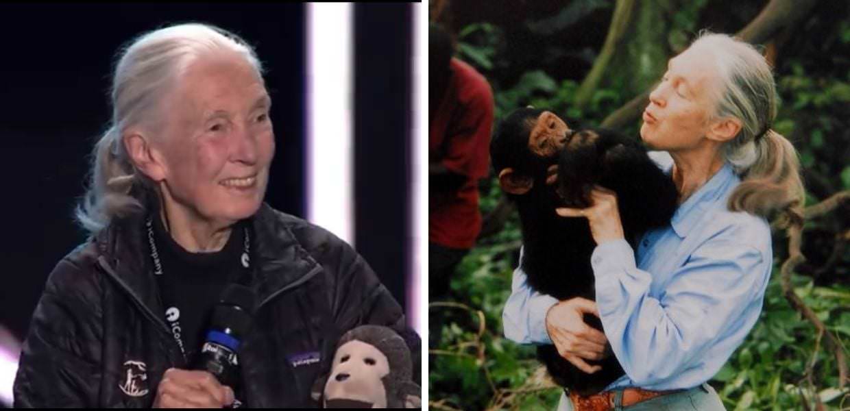 Concertone, l'etologa Jane Goodall ai giovani: "Credete nel vostro futuro"