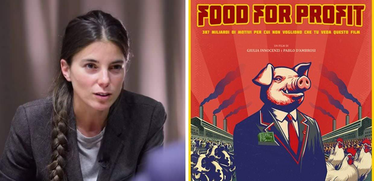 Allevamenti intensivi, Giulia Innocenzi: "Food for Profit su Rai 3 a Report"
