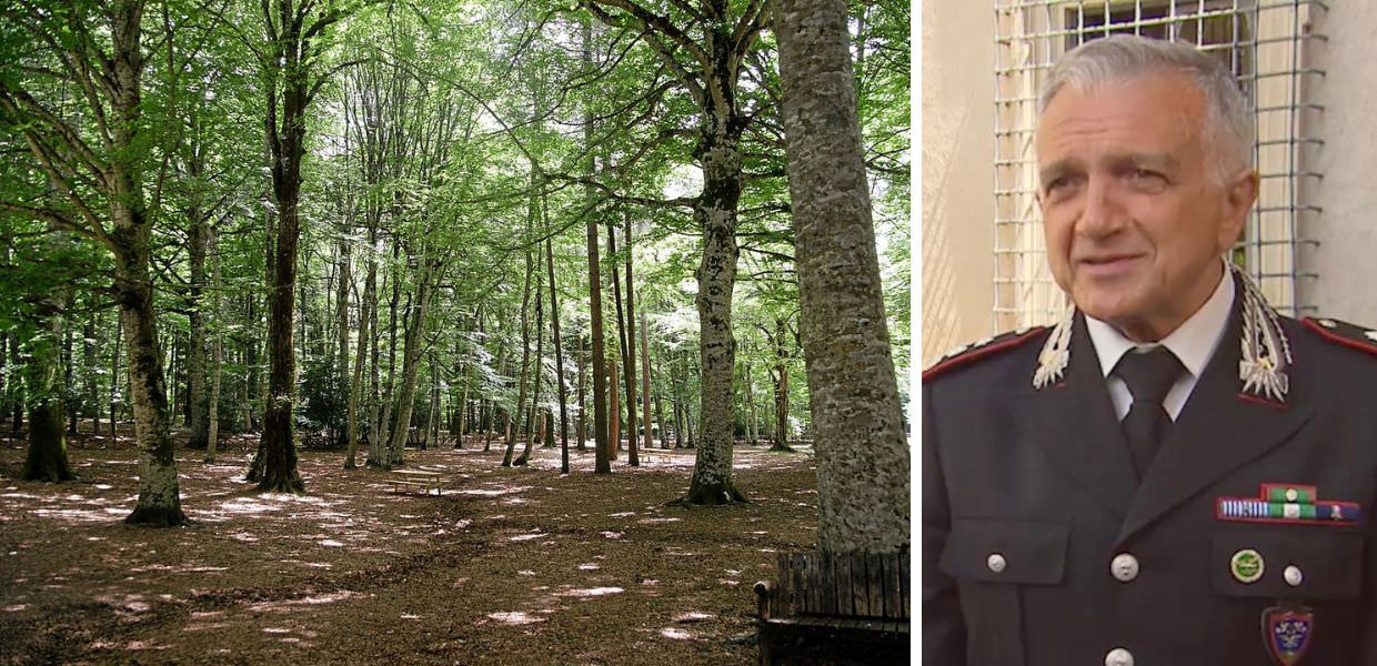 foreste italia leggi davide de laurentis