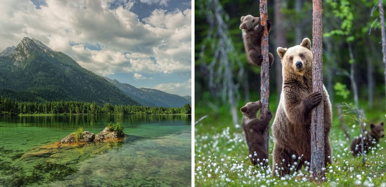 Giornata mondiale della biodiversità, Italia leader in Europa per specie animali e vegetali