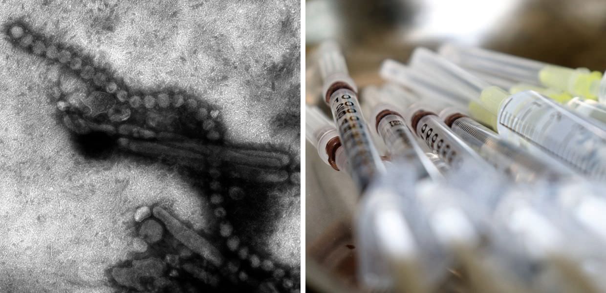 Influenza aviaria, Europa e USA a caccia di vaccini