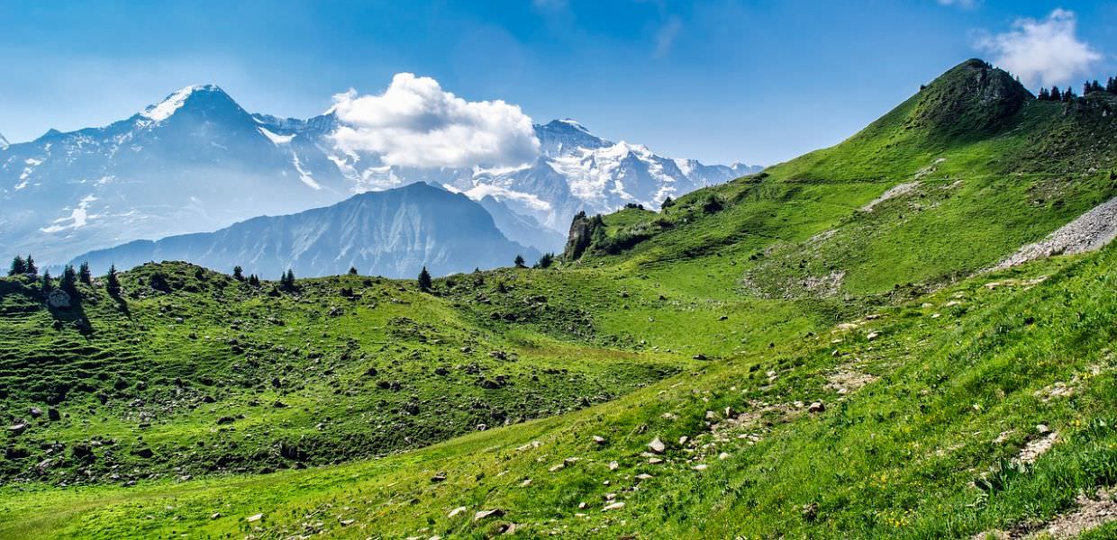 Legambiente, ecco le nuove "Bandiere Verdi"