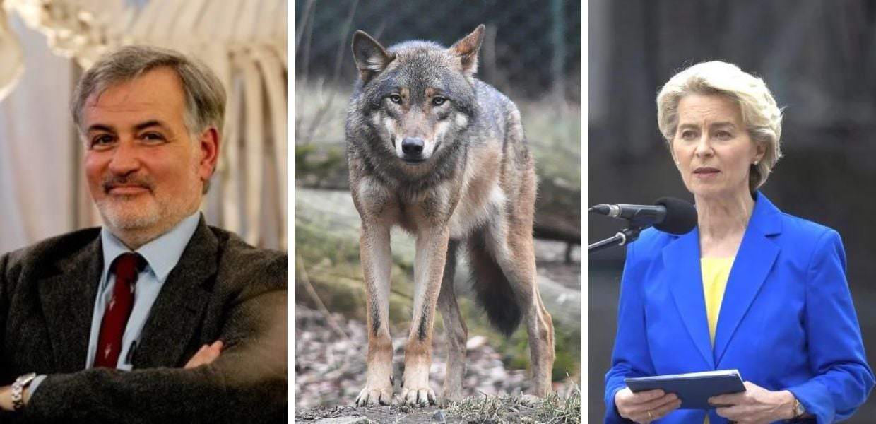 lupi spartaco gippoliti ursula von der leyen