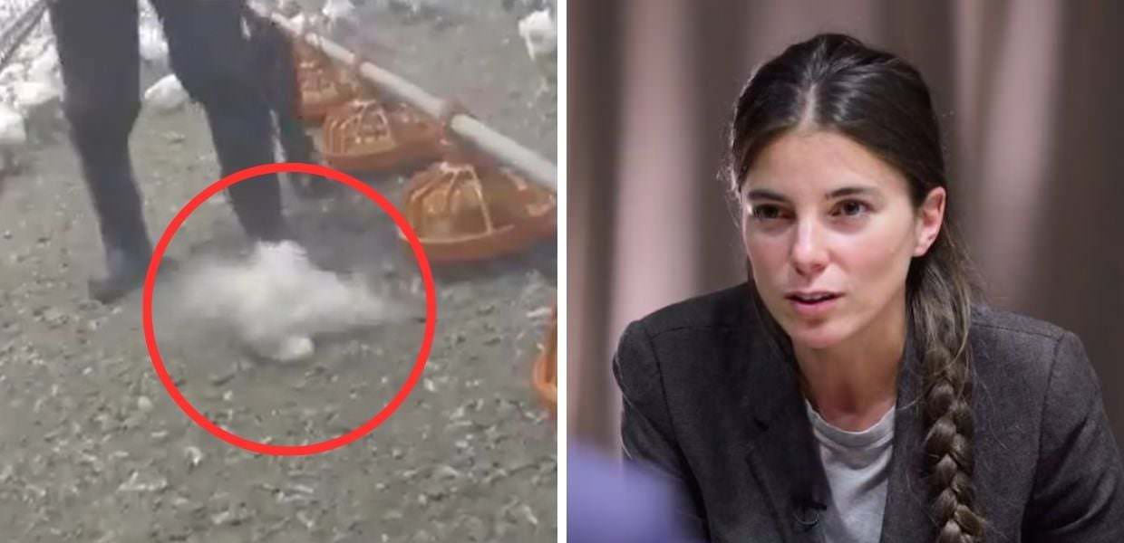 Food for Profit a Report, ecco l'ipocrisia dell'industria della carne: il video