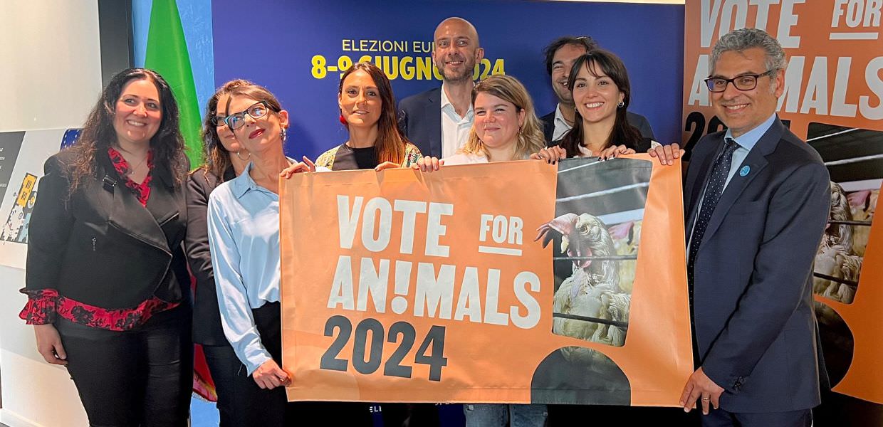 Elezioni europee 2024, a Roma l'evento "Vote for Animals"