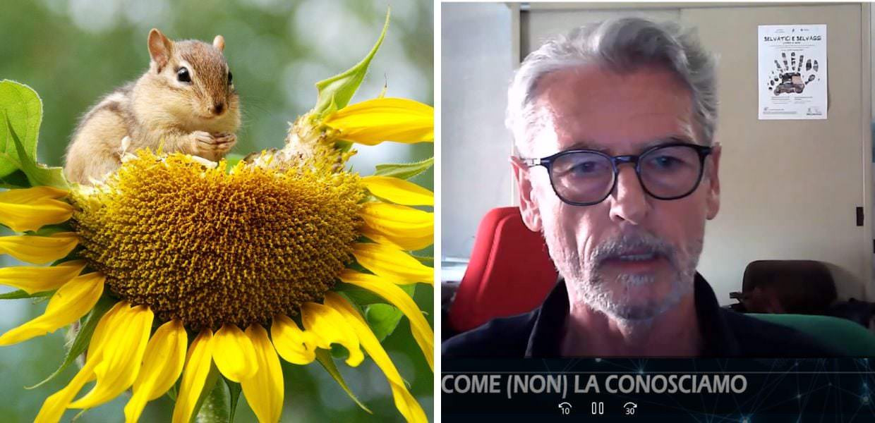 Alla scoperta della vita come (non) la conosciamo con il libro di Stefano Mazzotti